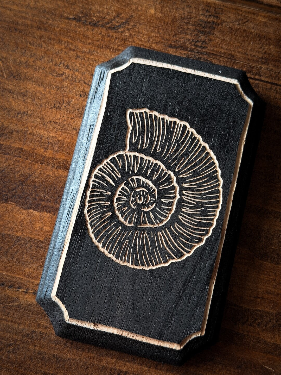 Ammonite Woodcut Plaque