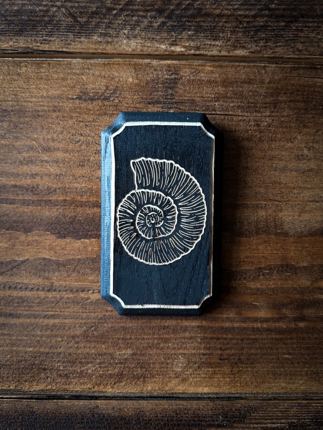 Ammonite Woodcut Plaque