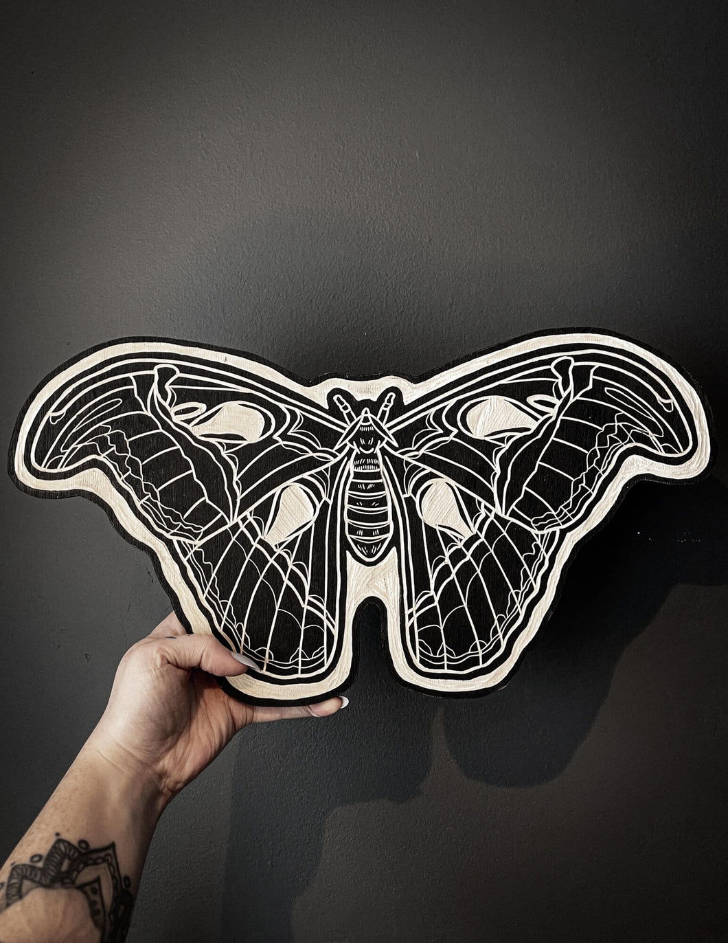 Atlas Moth Woodcut
